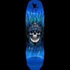 Powell Peralta - BlueAndy Anderson Flight Deck
